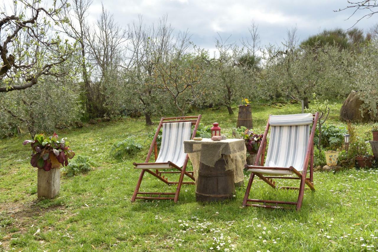 Agriturismo Campo Alla Piana Villa Monticchiello Exterior photo